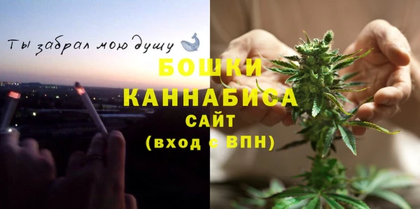 ГАЛЛЮЦИНОГЕННЫЕ ГРИБЫ Нея