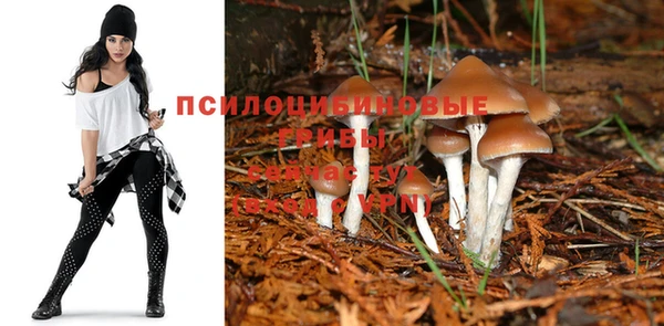 ГАЛЛЮЦИНОГЕННЫЕ ГРИБЫ Нея