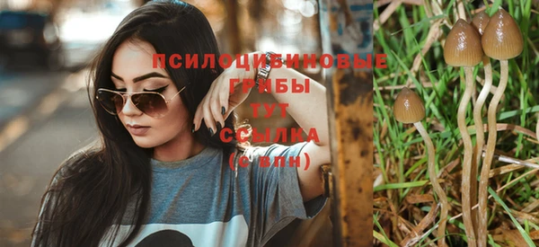 ГАЛЛЮЦИНОГЕННЫЕ ГРИБЫ Нея